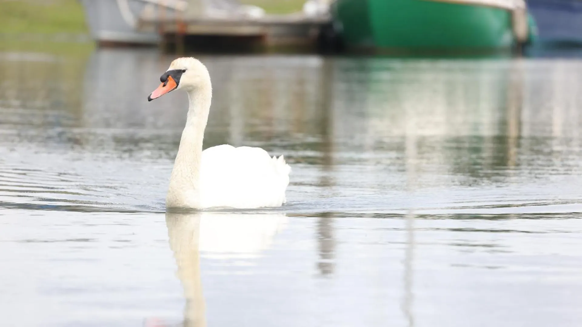 Mercury Yacht Harbour And Holiday Park Bursledon 0*,  United Kingdom